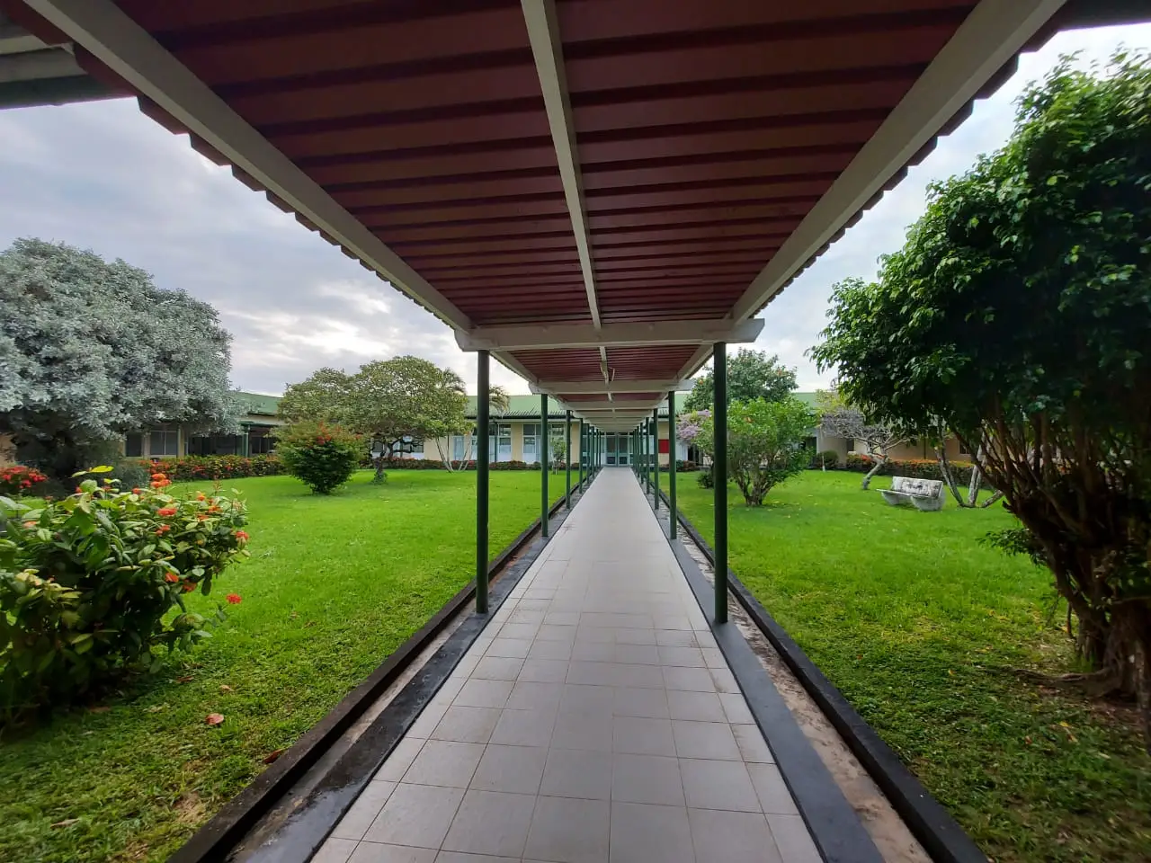Overdekte looproute langs een grasveld bij het ziekenhuis