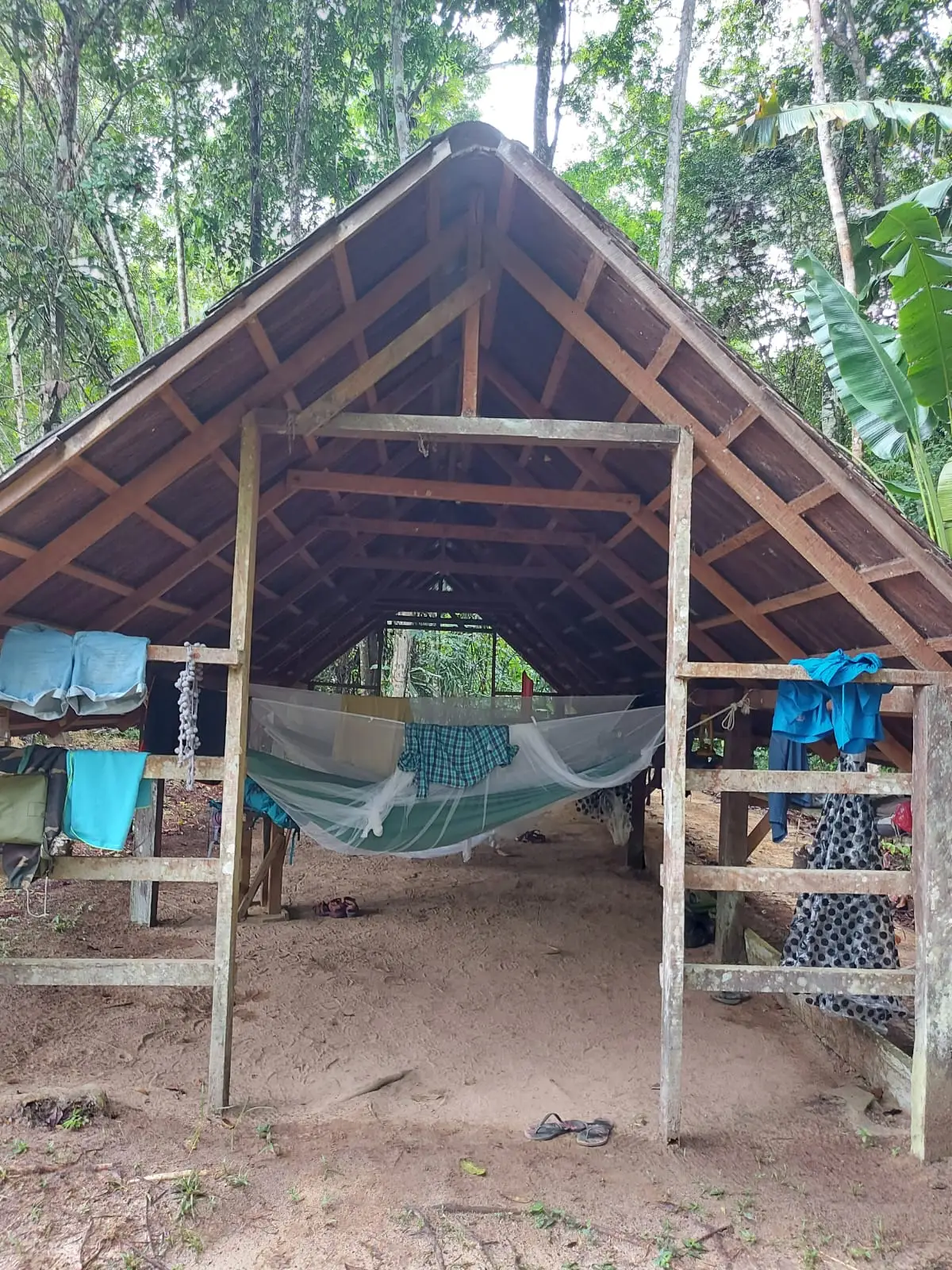 Open houten hut met een afdak en hangmatten in het bos