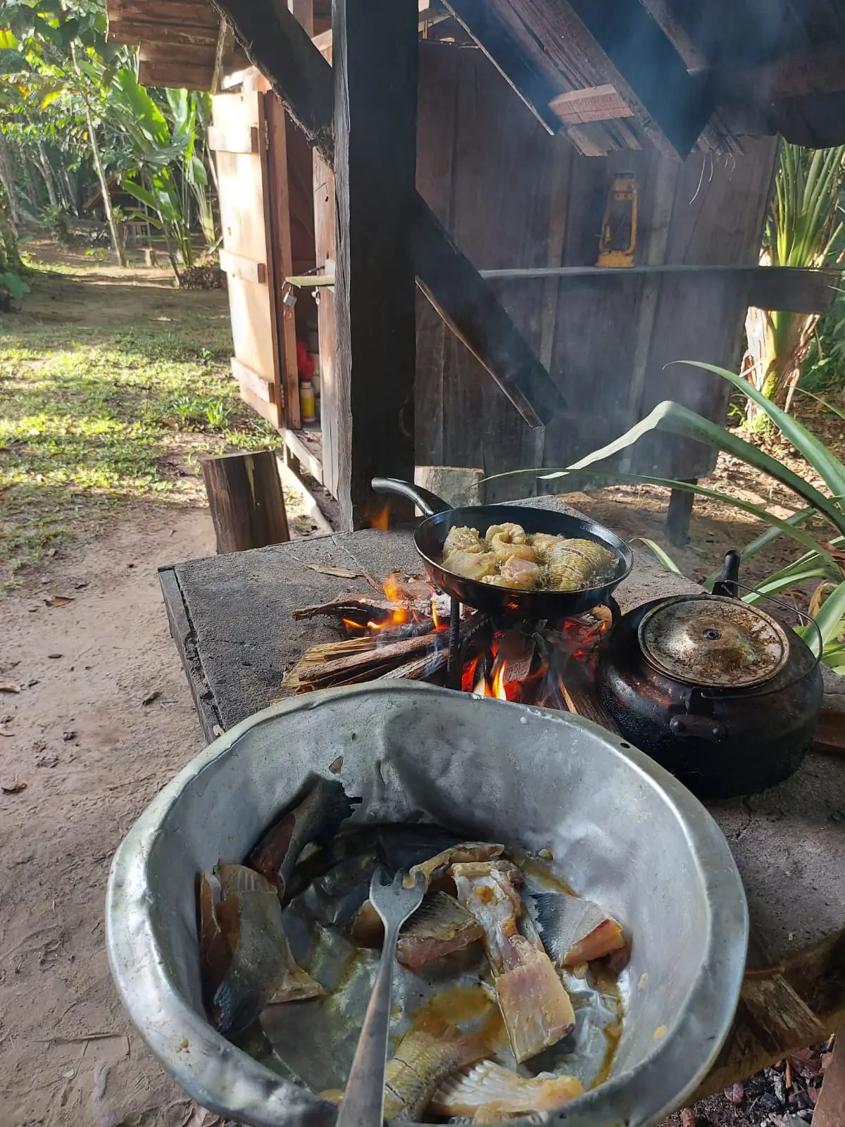 Kookplek in het bos met pannen boven een vuur en een metalen teil met vis