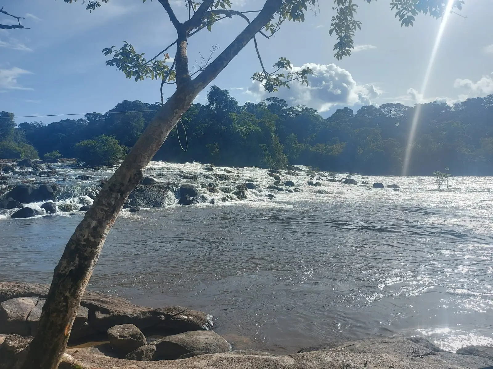 Stromend water over rotsen in een rivier met bos op de achtergrond