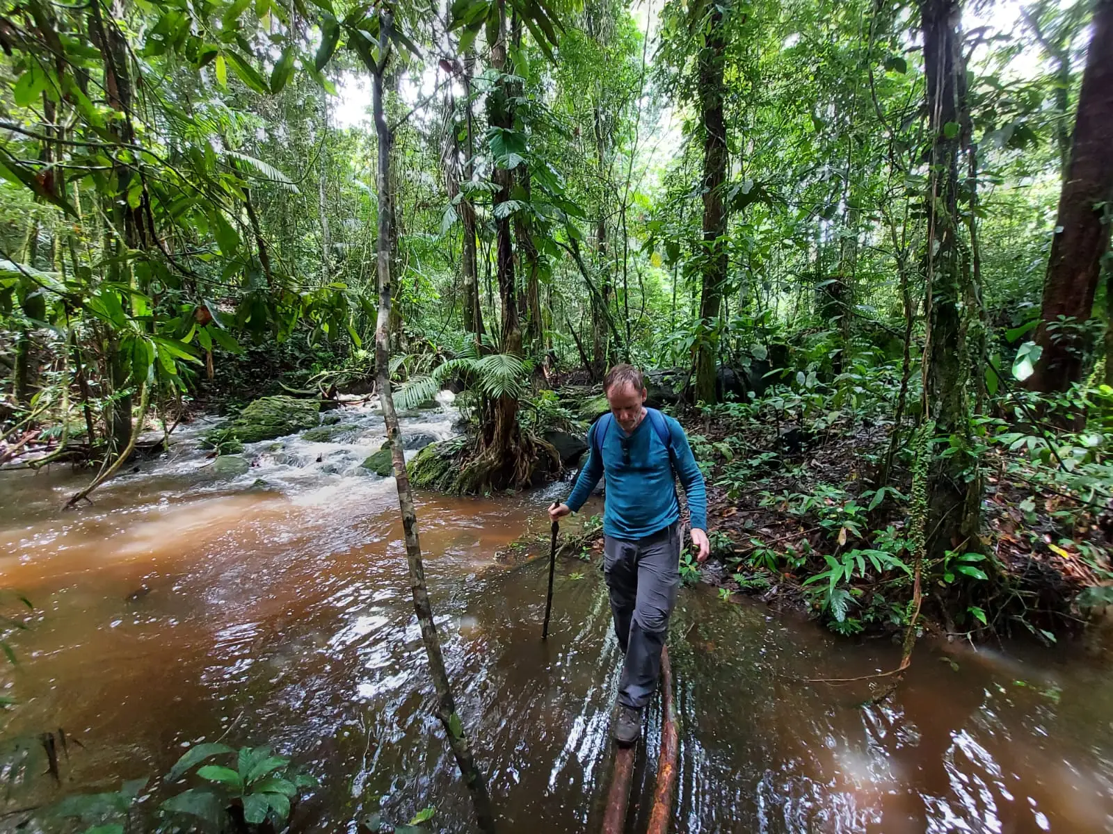 Wandelaar met stok steekt een ondergelopen pad door de jungle over