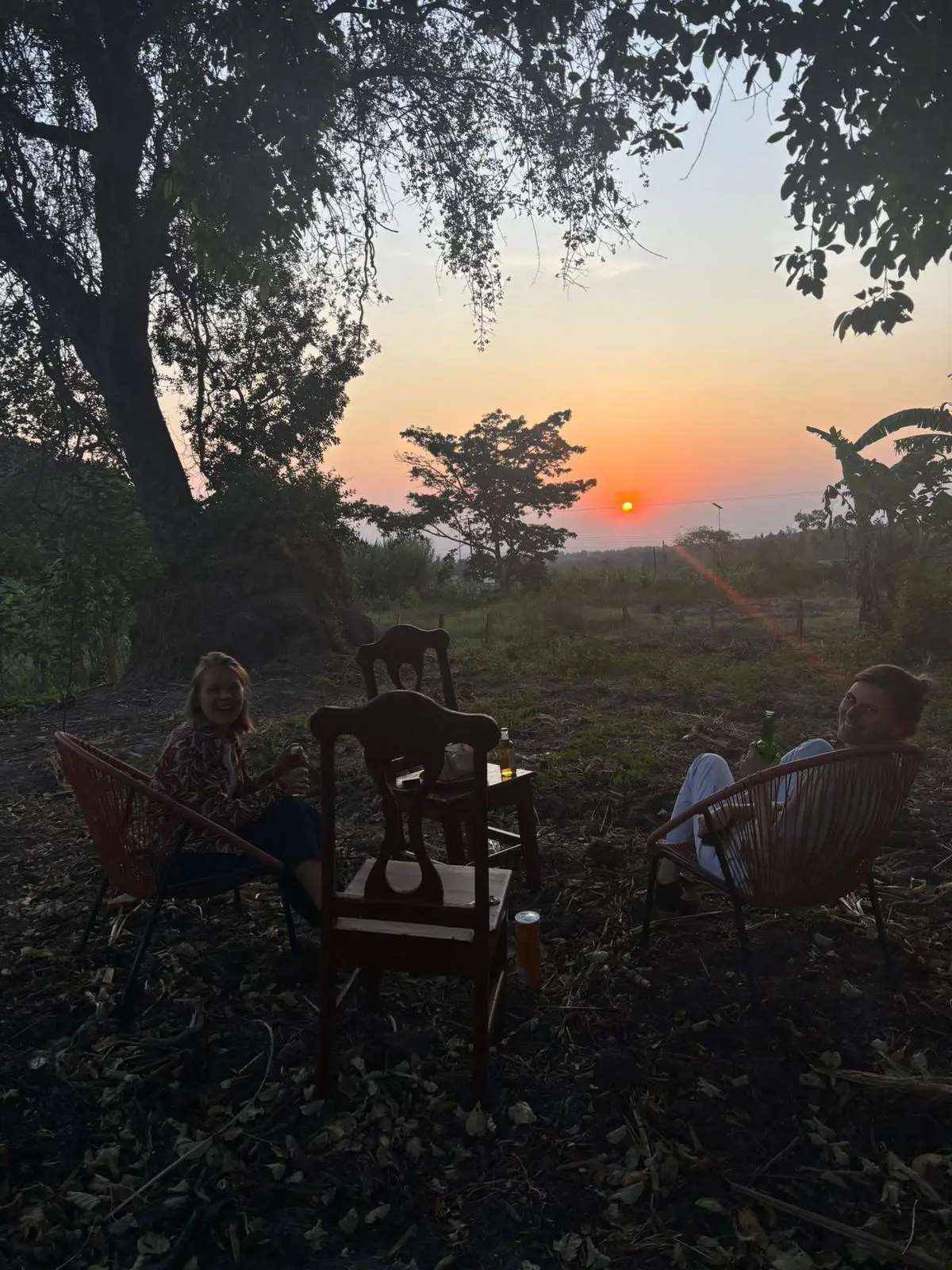 Zonsondergang door de bomen, met mensen op stoelen in de schemering