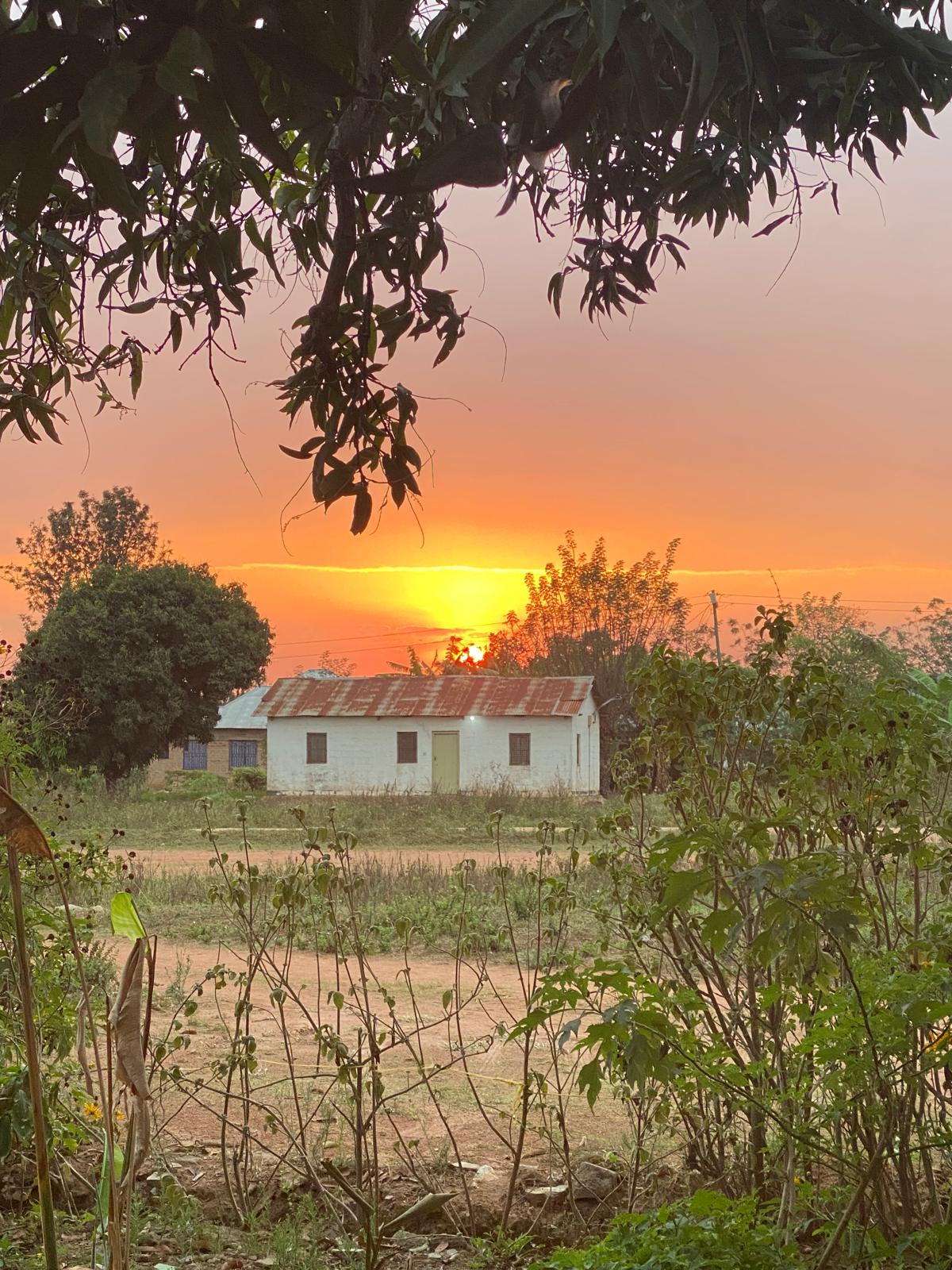 Oranje zonsondergang boven een wit huisje tussen de bomen