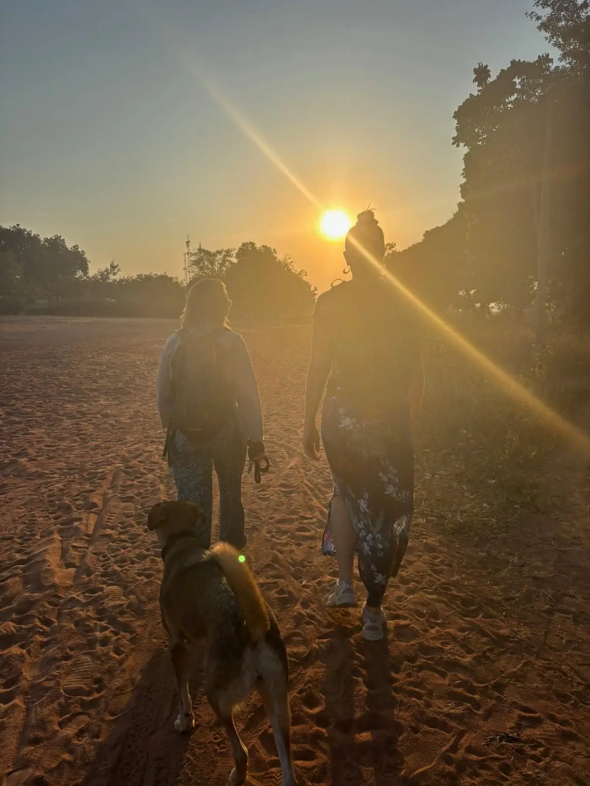 Twee mensen en een hond lopen in tegenlicht over een zandweg