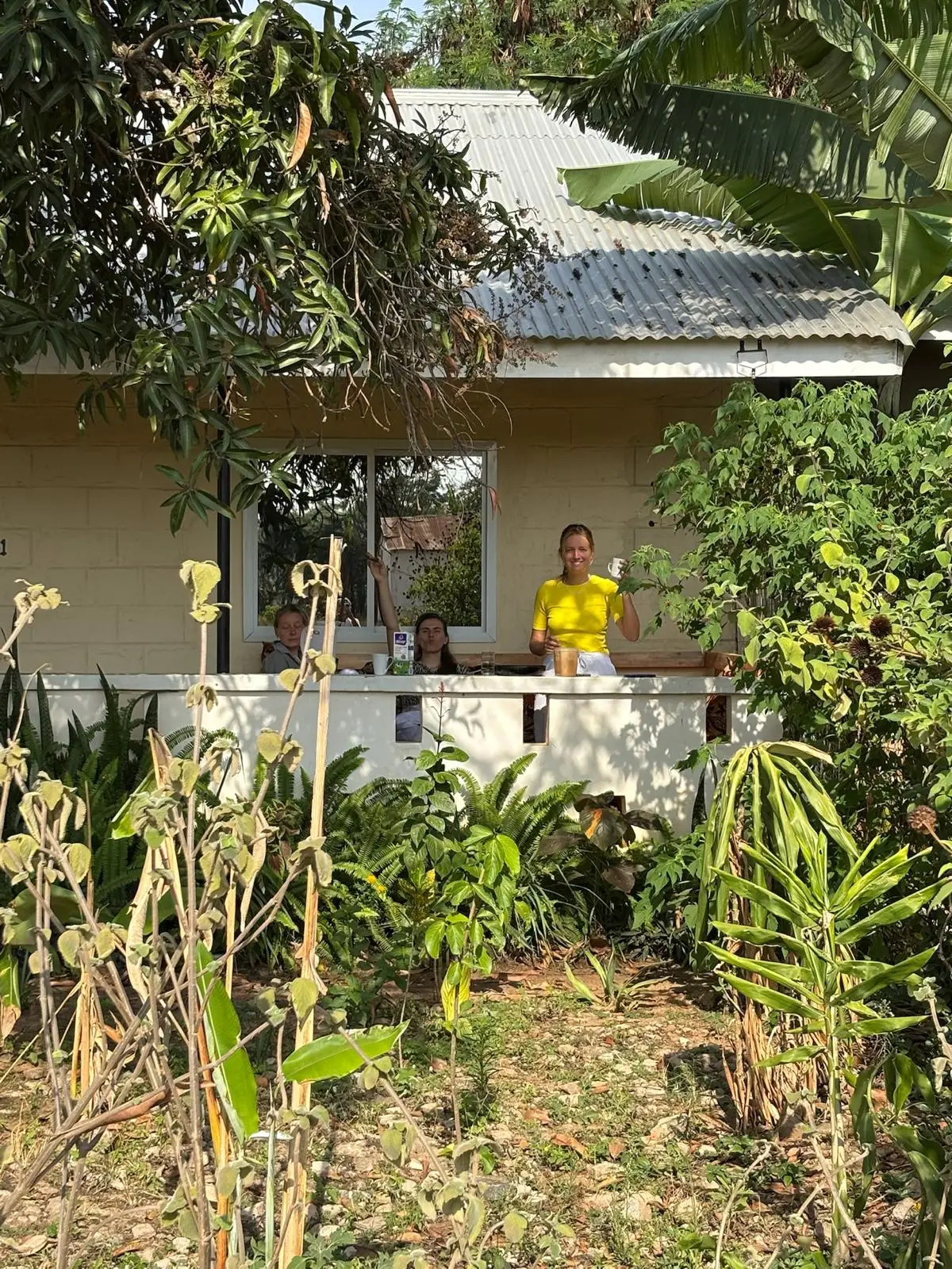 Huisje tussen de planten, met iemand in een geel shirt op de veranda